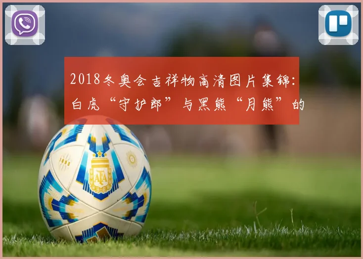 2018冬奥会吉祥物高清图片集锦：白虎“守护郎”与黑熊“月熊”的冰雪魅力
