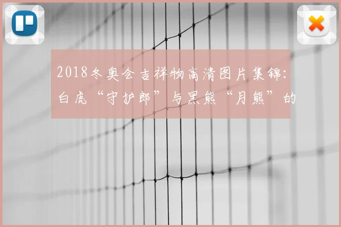 2018冬奥会吉祥物高清图片集锦：白虎“守护郎”与黑熊“月熊”的冰雪魅力