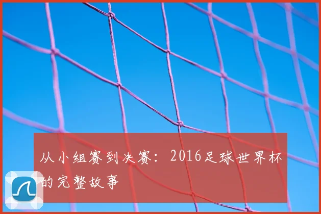 从小组赛到决赛：2016足球世界杯的完整故事