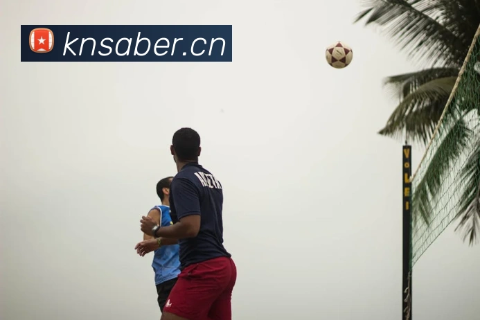 App Interface Preview